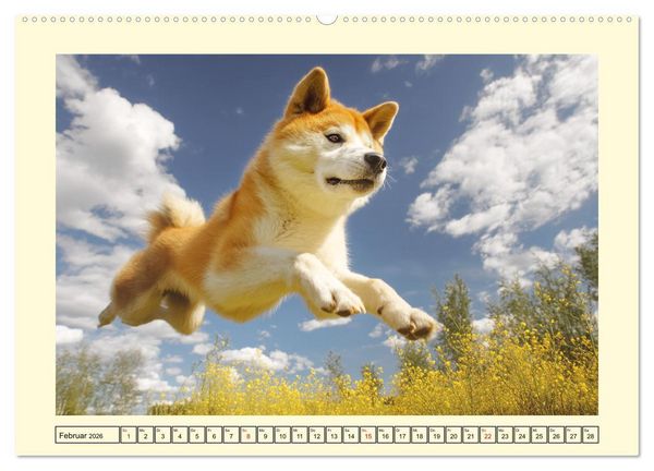 Produktbild: Akita Inu in der Natur. Japans edle und sanfte Sch&ouml;nheit (hochwertiger Premium Wandkalender 2026 DIN A2 quer), Kunstdruck in Hochglanz