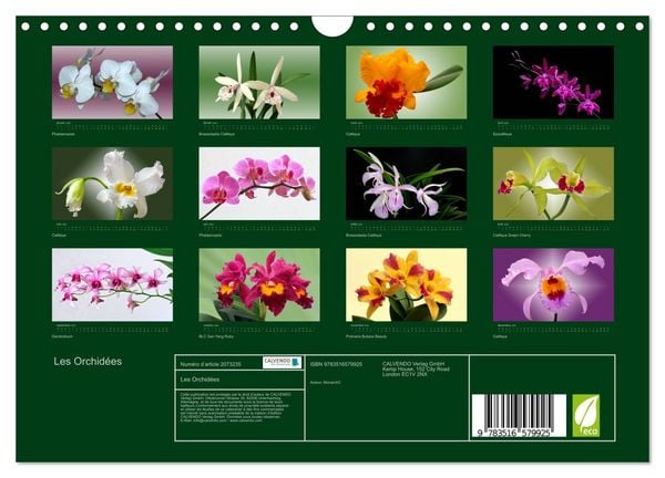 Produktbild: Les Orchid&eacute;es (Calendrier mural 2026 DIN A4 vertical), CALVENDO calendrier mensuel