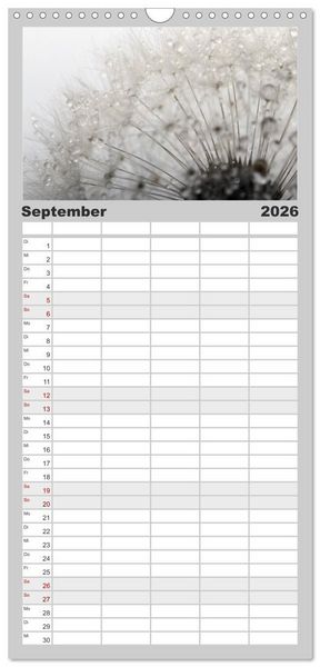 Produktbild: Familienplaner 2026 - Filigrane Pusteblumen / Geburtstagskalender mit 5 Spalten (Wandkalender, 21 x 45 cm) CALVENDO