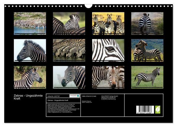 Produktbild: Zebras - Ungez&auml;hmte Kraft (Wandkalender 2026 DIN A3 quer), CALVENDO Monatskalender