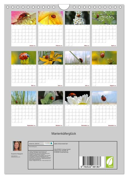 Produktbild: Marienk&auml;fergl&uuml;ck (Wandkalender 2026 DIN A4 hoch), CALVENDO Monatskalender