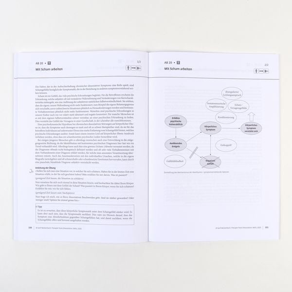 Produktbild: Therapie-Tools Dissoziation