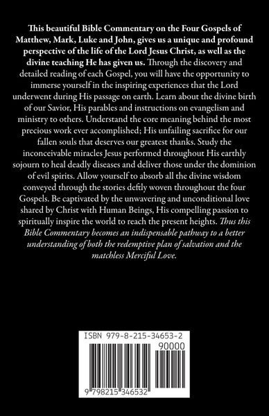 Produktbild: Analyzing Notes in the 4 Gospels