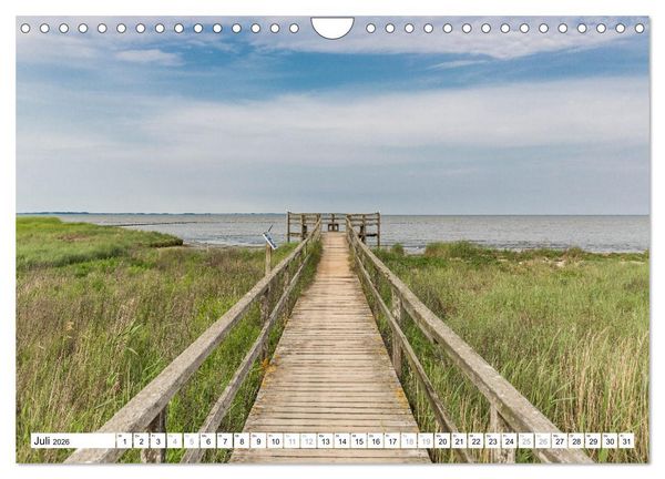 Produktbild: Amrum - Perle im nordfriesischen Wattenmeer (Wandkalender 2026 DIN A4 quer), CALVENDO Monatskalender