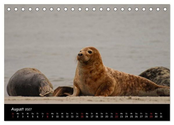Produktbild: Helgoland und die D&uuml;ne (Tischkalender 2027 DIN A5 quer), CALVENDO Monatskalender
