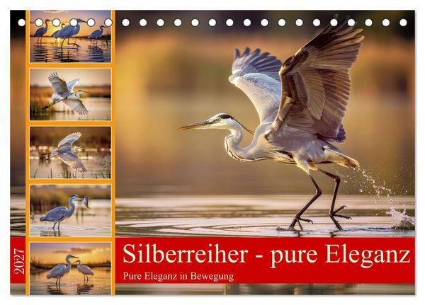 Produktbild: Silberreiher - pure Eleganz (Tischkalender 2027 DIN A5 quer), CALVENDO Monatskalender