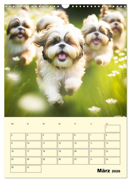 Produktbild: Shih Tzu Alarm. Gl&uuml;ckliche Wuschelk&ouml;pfe (Wandkalender 2026 DIN A3 hoch), CALVENDO Monatskalender