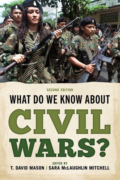 Produktbild: What Do We Know about Civil Wars?
