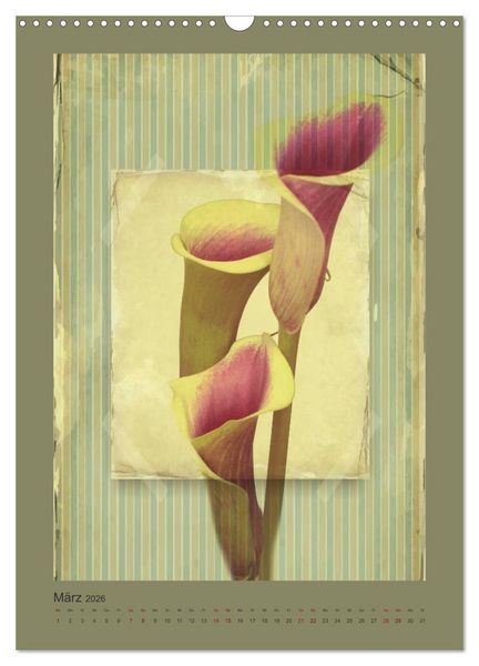 Produktbild: Vintage Style (Wandkalender 2026 DIN A3 hoch), CALVENDO Monatskalender