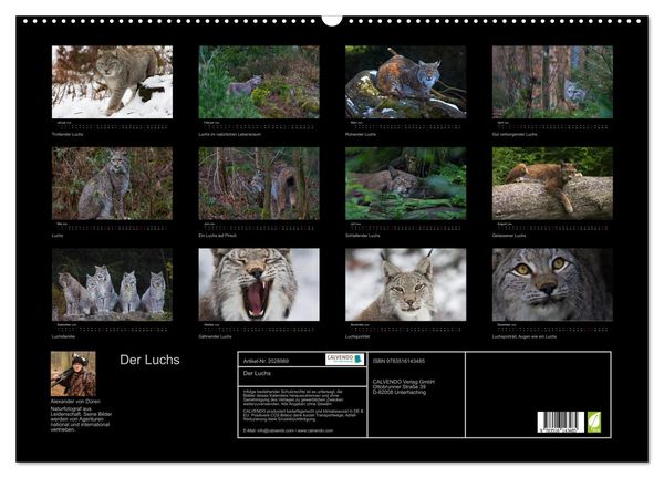 Produktbild: Der Luchs (Wandkalender 2026 DIN A2 quer), CALVENDO Monatskalender