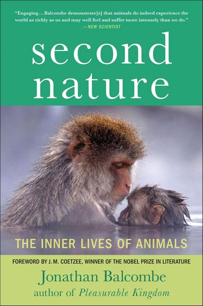 Produktbild: Second Nature