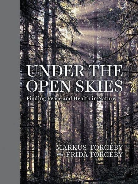 Produktbild: Under the Open Skies