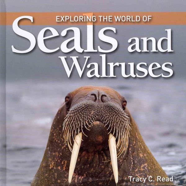 Produktbild: Exploring the World of Seals and Walruses