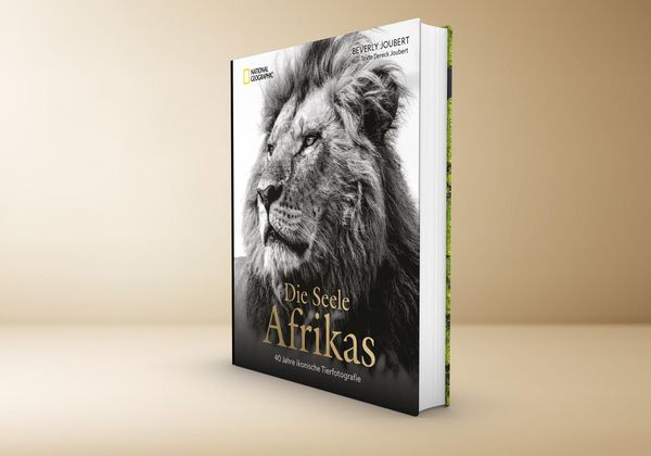 Produktbild: Die Seele Afrikas