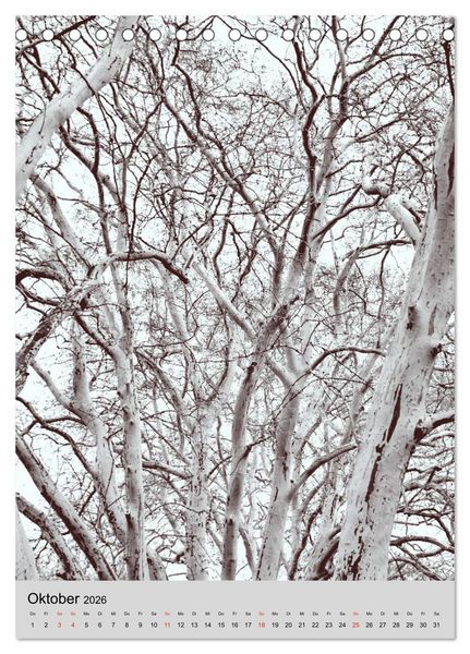 Produktbild: Natur monochrom Die besondere Wirkung (Tischkalender 2026 DIN A5 hoch), CALVENDO Monatskalender