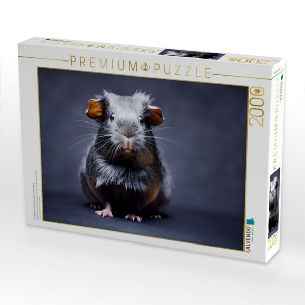 Produktbild: CALVENDO Puzzle Ein Motiv aus dem Kalender Only Black | 2000 Teile Lege-Gr&ouml;&szlig;e 90x67cm Foto-Puzzle f&uuml;r gl&uuml;ckliche Stunden
