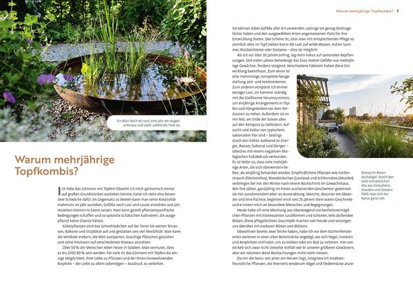 Produktbild: Mein Garten w&auml;chst im Topf