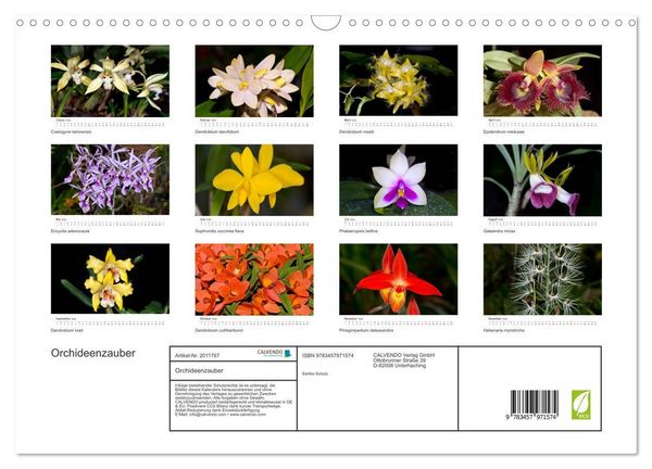 Produktbild: Orchideenzauber (Wandkalender 2026 DIN A3 quer), CALVENDO Monatskalender