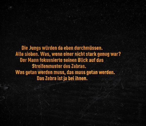 Produktbild: Im Auge des Zebras