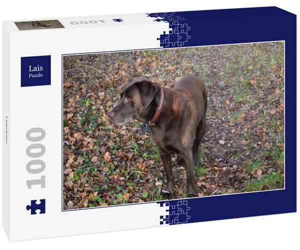 Produktbild: Lais Puzzle Labrador 1000 Teile