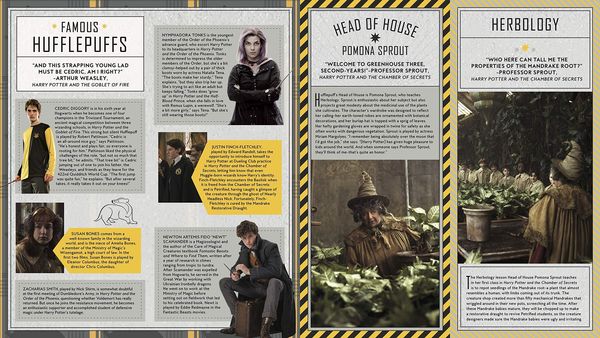 Produktbild: Harry Potter: Hufflepuff Magic - Artifacts from the Wizarding World