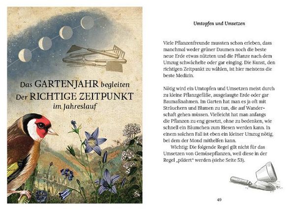 Produktbild: G&auml;rtnern mit der Kraft des Mondes