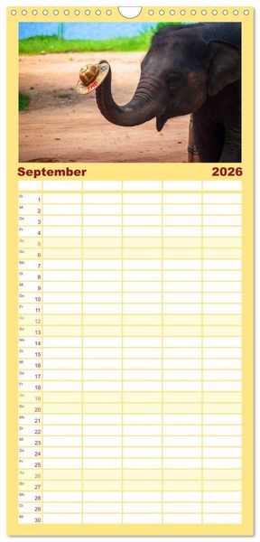 Produktbild: Familienplaner 2026 - Elefanten. Badespa&szlig; am Strand mit 5 Spalten (Wandkalender, 21 x 45 cm) CALVENDO
