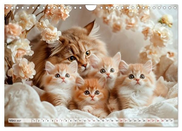 Produktbild: Kleine K&auml;tzchen - Ein Jahr voller Samtpfotenzauber (Wandkalender 2027 DIN A4 quer), CALVENDO Monatskalender