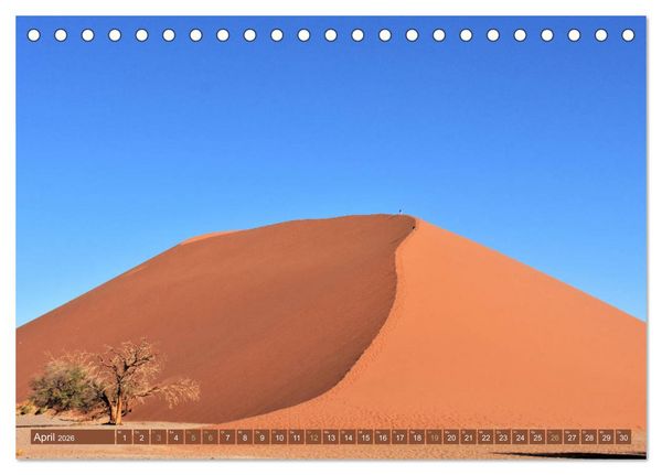 Produktbild: Bunte Wunder der Natur (Tischkalender 2026 DIN A5 quer), CALVENDO Monatskalender