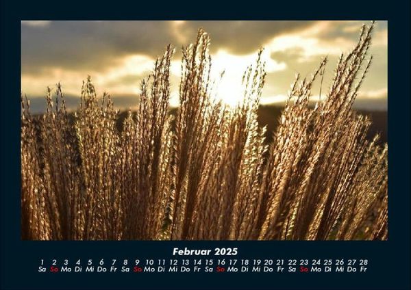 Produktbild: Bilder der Natur 2025 Fotokalender DIN A4
