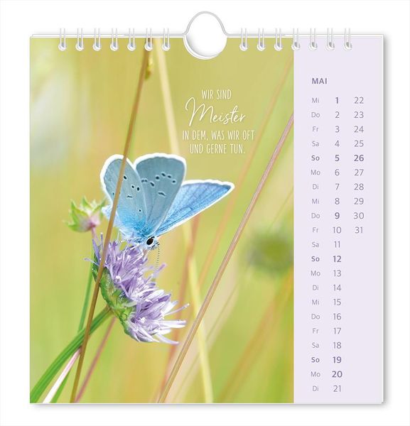 Postkartenkalender 2024 Lichtblicke