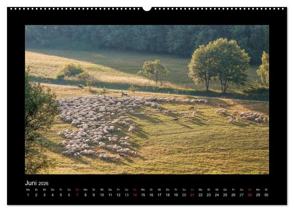 Produktbild: Taunus (hochwertiger Premium Wandkalender 2026 DIN A2 quer), Kunstdruck in Hochglanz