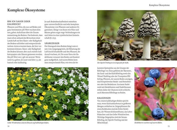 Produktbild: Unsere essbare Natur