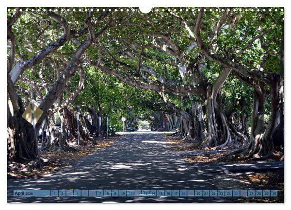 Produktbild: Florida Spots II (Wandkalender 2026 DIN A3 quer), CALVENDO Monatskalender