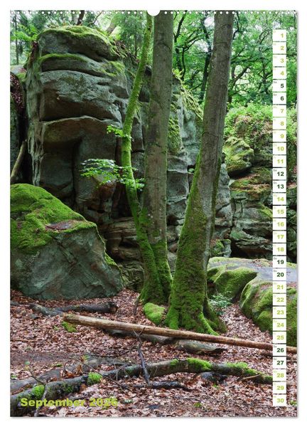 Produktbild: EIFEL - Kraftorte Wald und Wasser (hochwertiger Premium Wandkalender 2026 DIN A2 hoch), Kunstdruck in Hochglanz