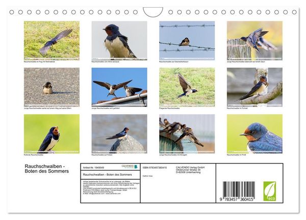 Produktbild: Rauchschwalben - Boten des Sommers (Wandkalender 2026 DIN A4 quer), CALVENDO Monatskalender