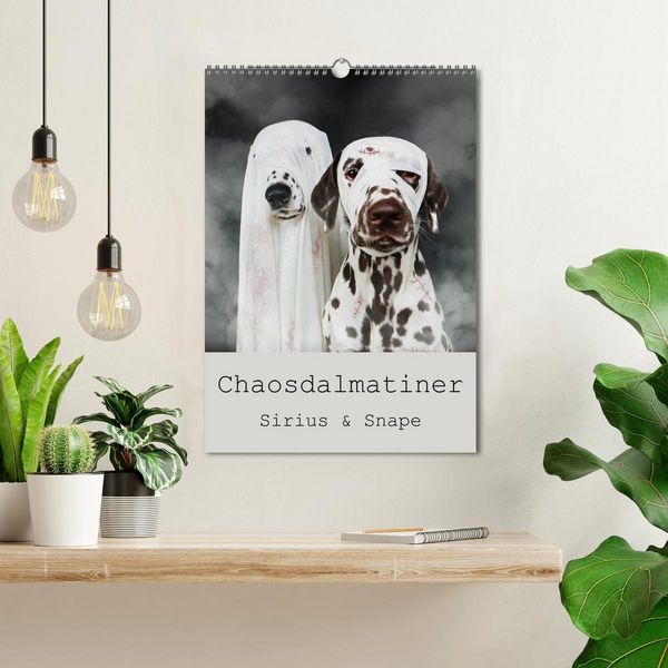 Produktbild: Chaosdalmatiner Sirius und Snape (Wandkalender 2026 DIN A3 hoch), CALVENDO Monatskalender