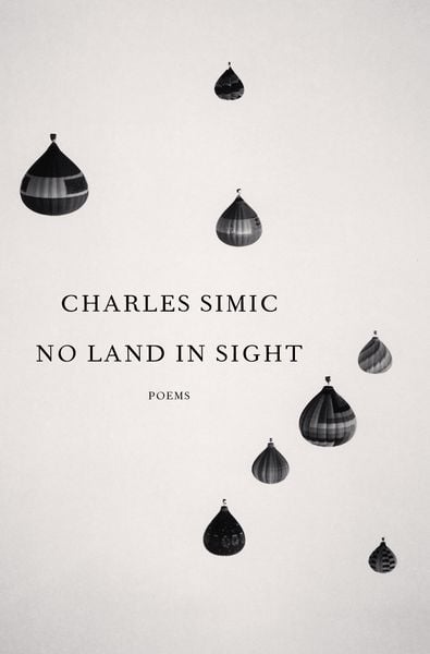 Produktbild: No Land in Sight