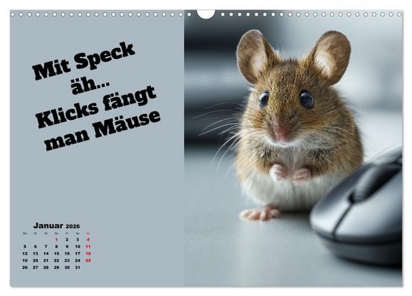 Produktbild: Pferdeschwanz - Das lustige, zweideutige Geschenk als Kalender (Wandkalender 2026 DIN A3 quer), CALVENDO Monatskalender