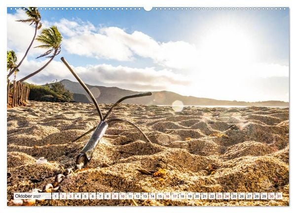 Produktbild: Summer Paradise Fiji (Wandkalender 2027 DIN A2 quer), CALVENDO Monatskalender