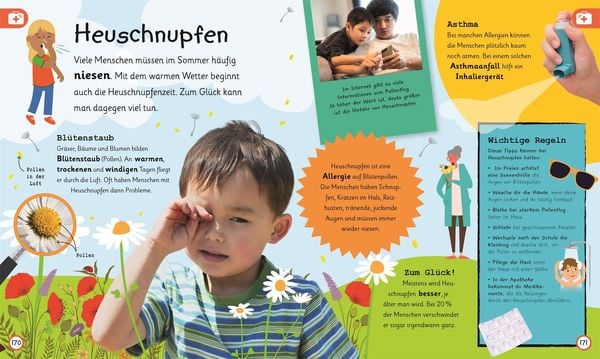 Wissen für Vorschulkids. Was weißt du über den Körper?