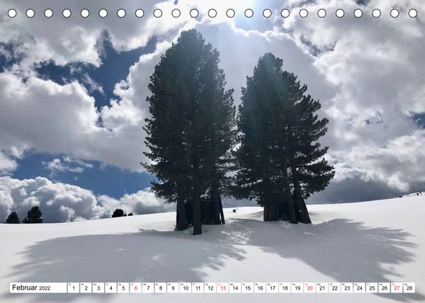 Produktbild: B&auml;ume in Italien (Tischkalender 2022 DIN A5 quer)