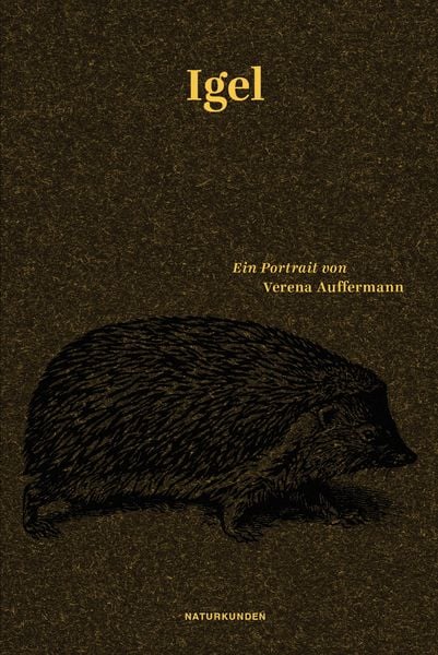 Igel, Gebundene Ausgabe von Verena Auffermann, Matthes & Seitz, 978-3-7518-0209-3