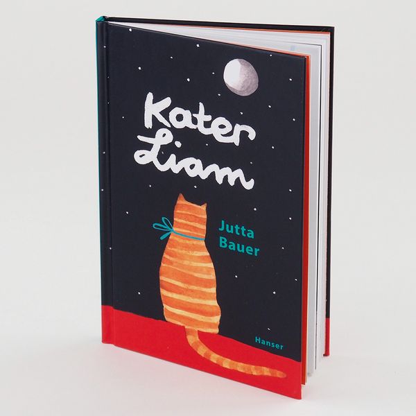 Produktbild: Kater Liam