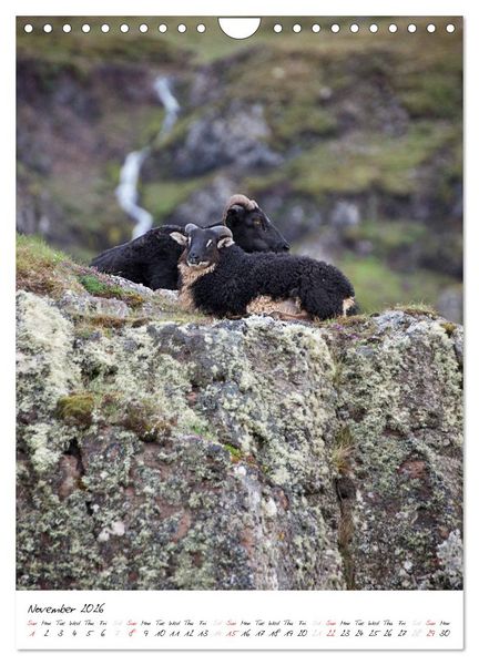 Produktbild: Iceland Calendar 2026 - Discover unique nature - UK Version (Wall Calendar 2026 DIN A4 portrait), CALVENDO 12 Month Wall Calendar