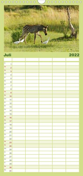 Produktbild: Familienplaner Zebras - Faszination der Wildnis (Wandkalender 2022 , 21 cm x 45 cm, hoch)