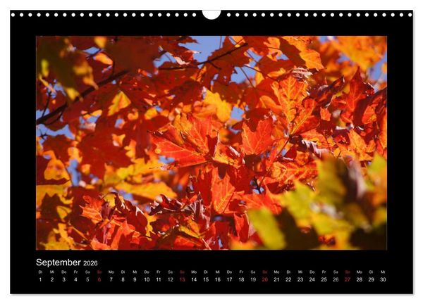 Produktbild: Nova Scotia & Prince Edward Island (Wandkalender 2026 DIN A3 quer), CALVENDO Monatskalender