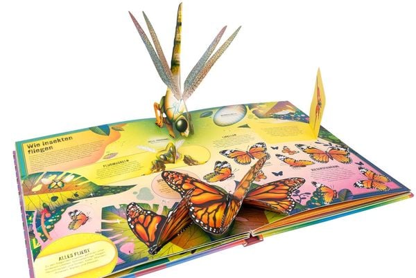 Das unglaubliche Pop-up-Buch Insekten