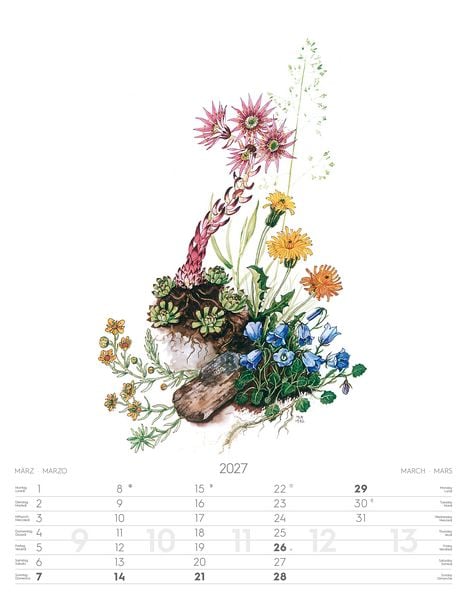 Produktbild: Alpenblumen-Aquarelle Kalender 2027
