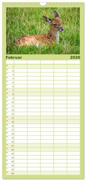 Produktbild: Familienplaner 2026 - Die lieben Kleinen ... Tierkinder einfach zum Knuddeln mit 5 Spalten (Wandkalender, 21 x 45 cm) CALVENDO